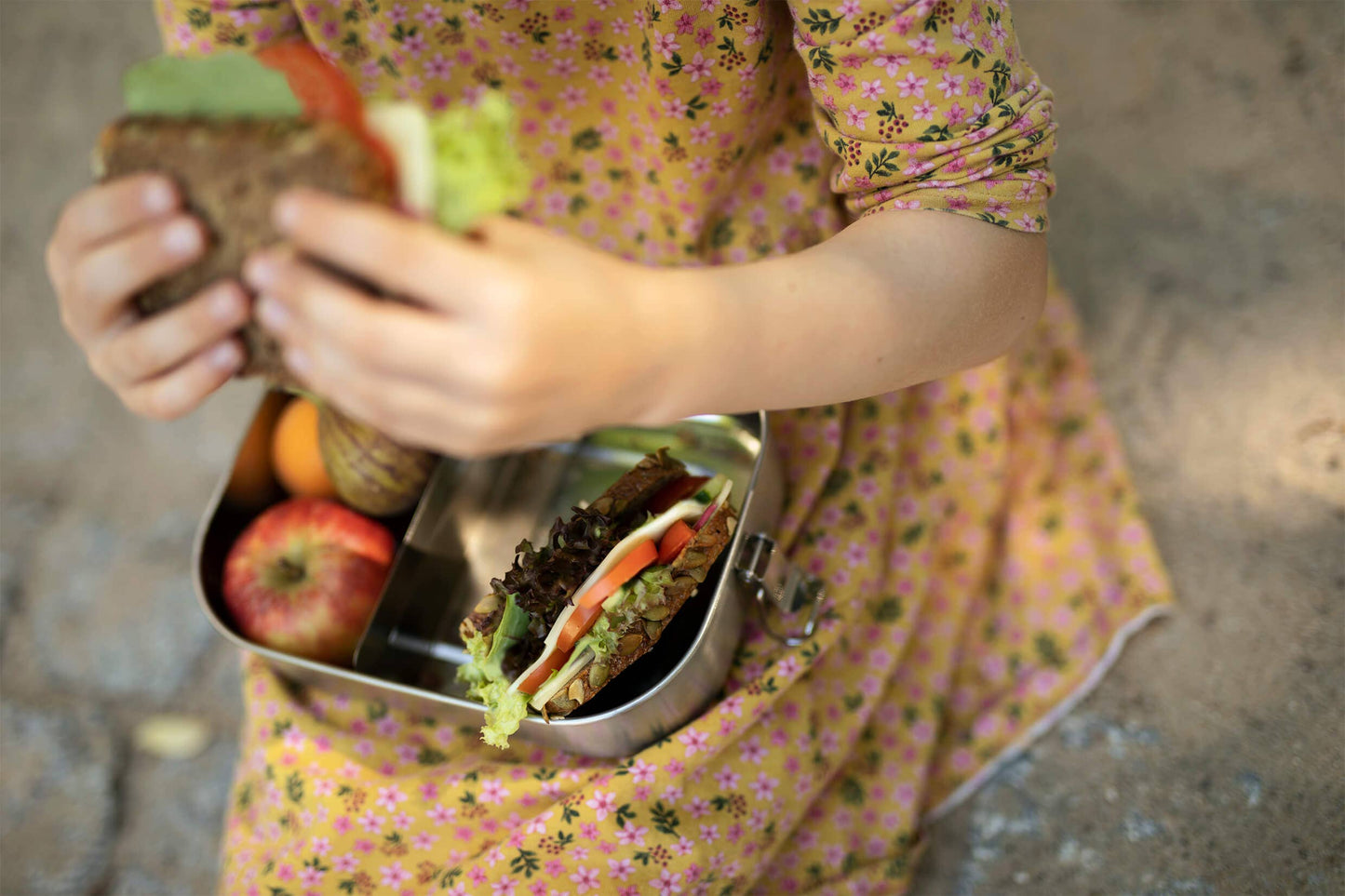 Bento Flex+ | Lunch Box