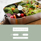 Bento Flex+ | Lunch Box
