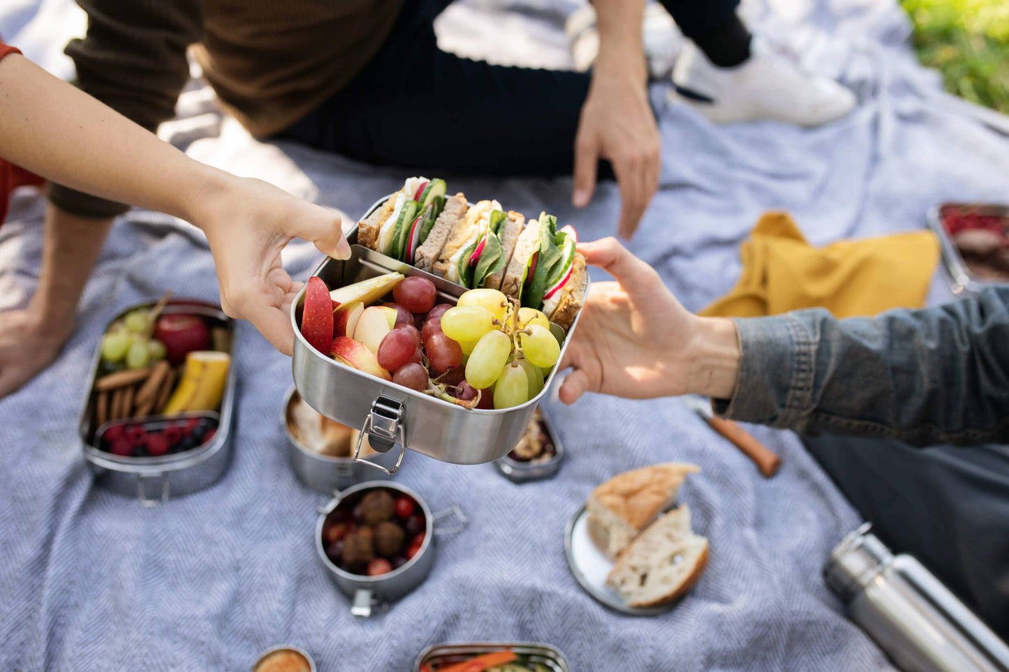 Bento Flex+ | Lunch Box